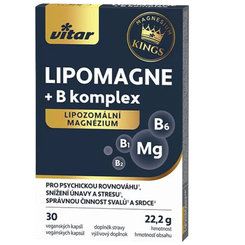 VITAR KINGS LIPOMAGNE + B komplex 30 kapsúl