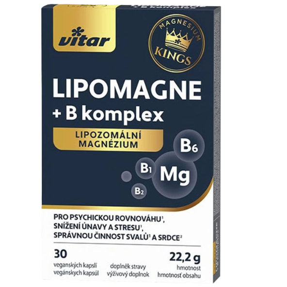 VITAR KINGS LIPOMAGNE + B komplex 30 kapsúl