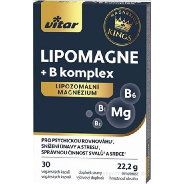 VITAR KINGS LIPOMAGNE + B komplex lipozomálne magnézium 30cps