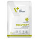 VetExpert VD cat Recovery kapsička pre mačky 100g