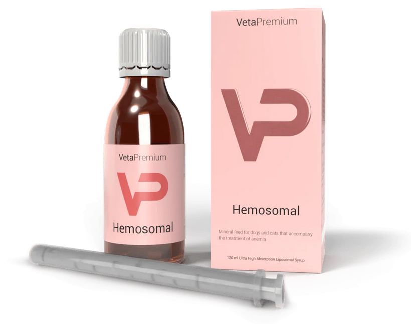 VetaPro Hemosomal na podporu liečby anémie pre psy a mačky 120 ml