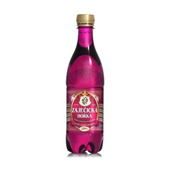 ZAJEČICKÁ HORKÁ prírodná minerálna voda 500 ml