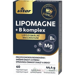 VITAR KINGS LIPOMAGNE + B komplex lipozomálne magnézium 60 kapsúl