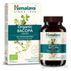Himalaya Organická BACOPA 60 kapsúl
