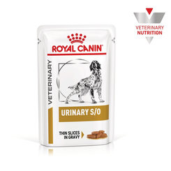 ROYAL CANIN DOG URINARY S/O WET kapsičky pre psov na podporu rozpúšťania struvitých kameňov 12 x 100 g