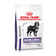 ROYAL CANIN MATURE CONSULT LARGE DOG granule pre starnúce veľké psy 14 kg