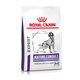 ROYAL CANIN MATURE CONSULT MEDIUM DRY granule pre starnúce stredne veľké psy 3,5 kg