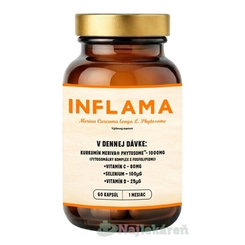 Inflama kurkumín s vitamínmi 60 kapsúl