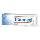 Traumeel S 100 g