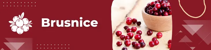 Brusnica - doplny výživy s brusnicou